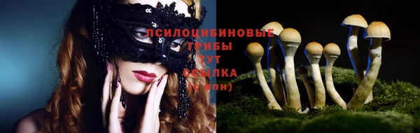 бошки Тайга