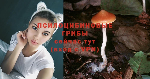 гидра Алексин