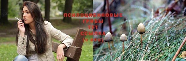 ALPHA PVP Медногорск