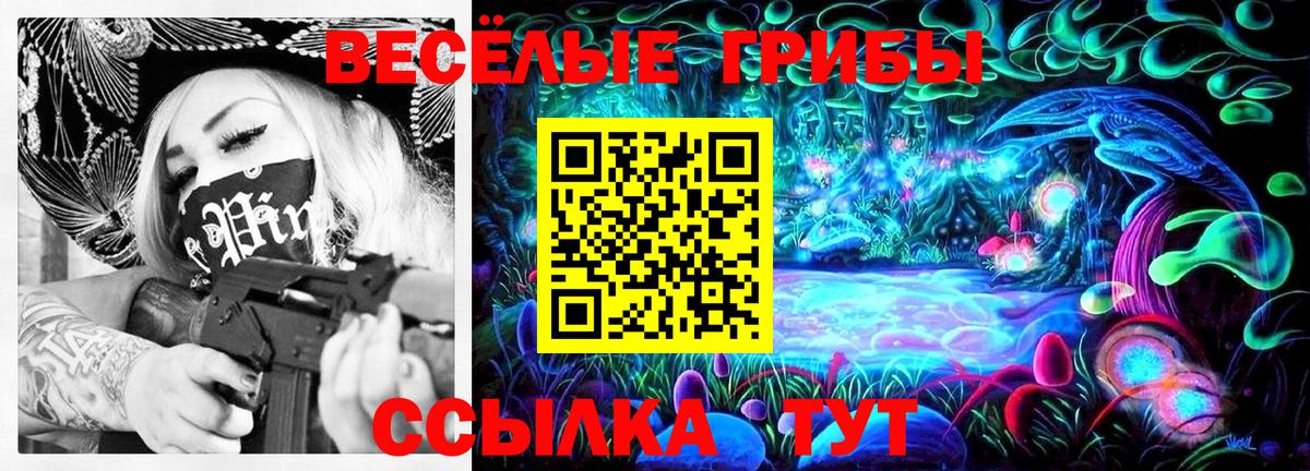 Галлюциногенные грибы прущие грибы Коряжма