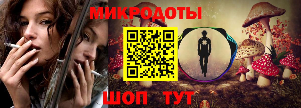 Псилоцибиновые грибы Psilocybe Коряжма