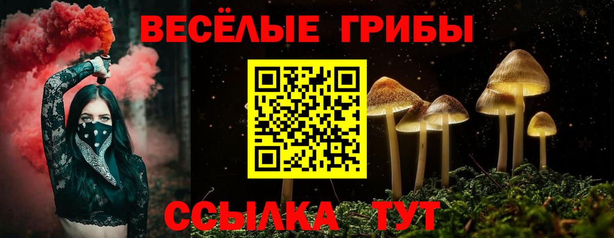 наркота  Вход с VPN  Коряжма  Псилоцибиновые грибы GOLDEN TEACHER 