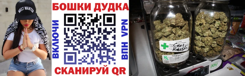 Бошки Шишки SATIVA & INDICA  купить наркоту  Коряжма 
